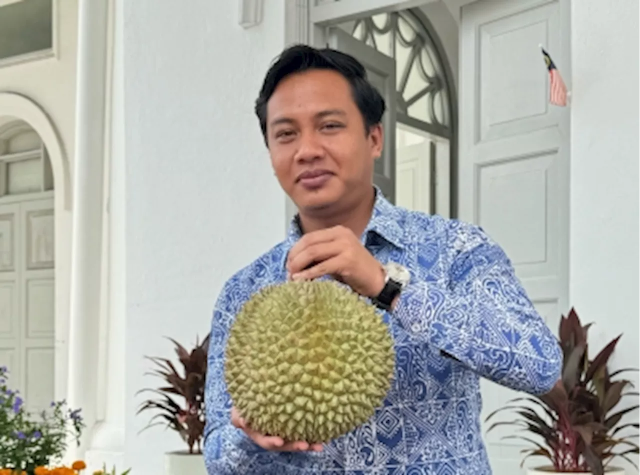 Penang expects to reap ‘durian runtuh’ revenue of RM1b due to three-month season this year