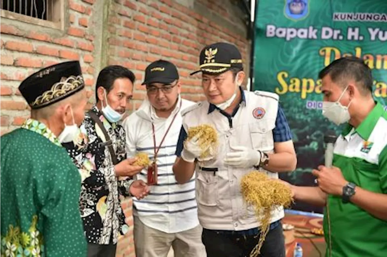 Kabupaten Lamongan Raih Peringkat 1 Pengelolaan Dana Bagi Hasil Cukai Tembakau