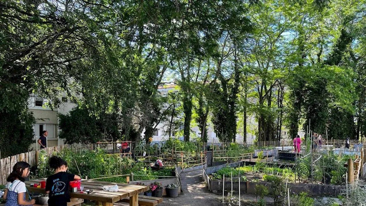 Le jardin partagé, une oasis de verdure dans un quartier prioritaire de la ville à Montpellier