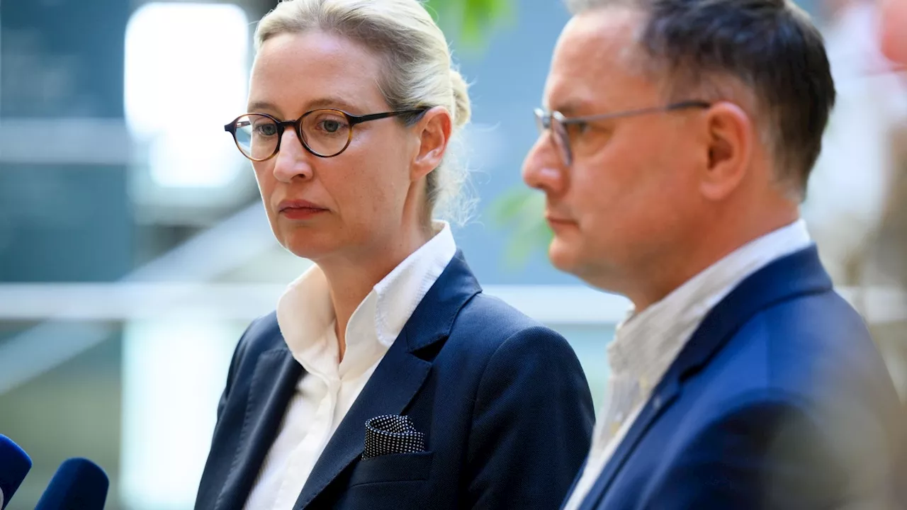 Weidel verbreitet Fake-Zitat von Faeser – Ministerin schäumt