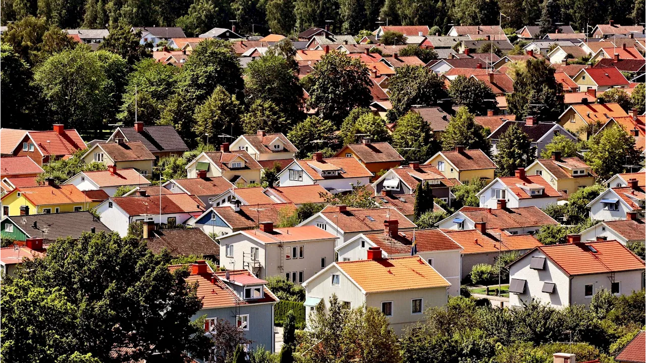 Därför blir våra bostäder överhettade i värmeböljan – kan vara direkt farligt