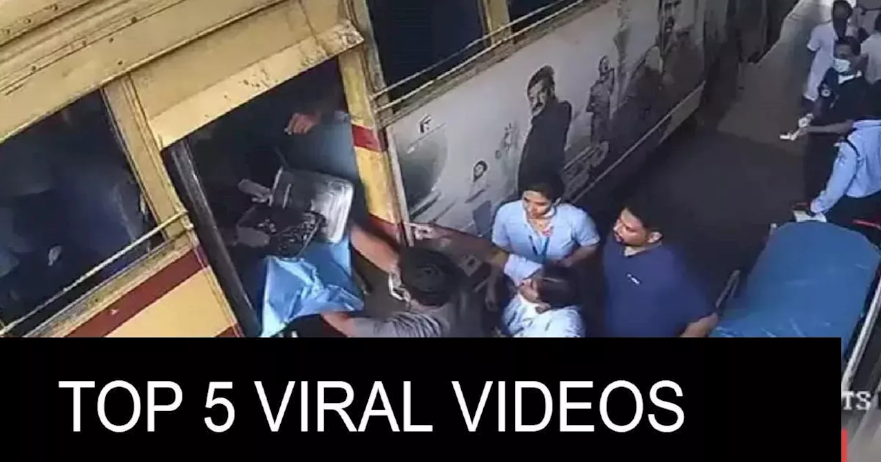 Top 5 Videos: बस में महिला ने दिया बच्चे को जन्म तो मैंगो पार्टी करने घर पहुंच गए गजराज, देखें इंटरनेट पर Viral वीडियो