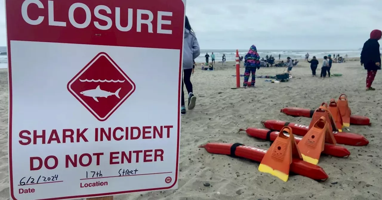 Stretch of California beach closed after shark bites man during group swim