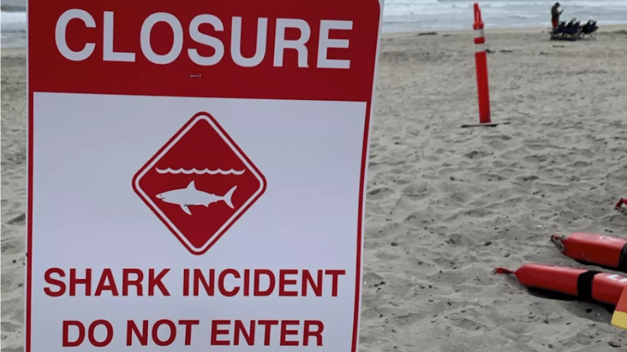 Shark bites swimmer in Del Mar, beaches closed