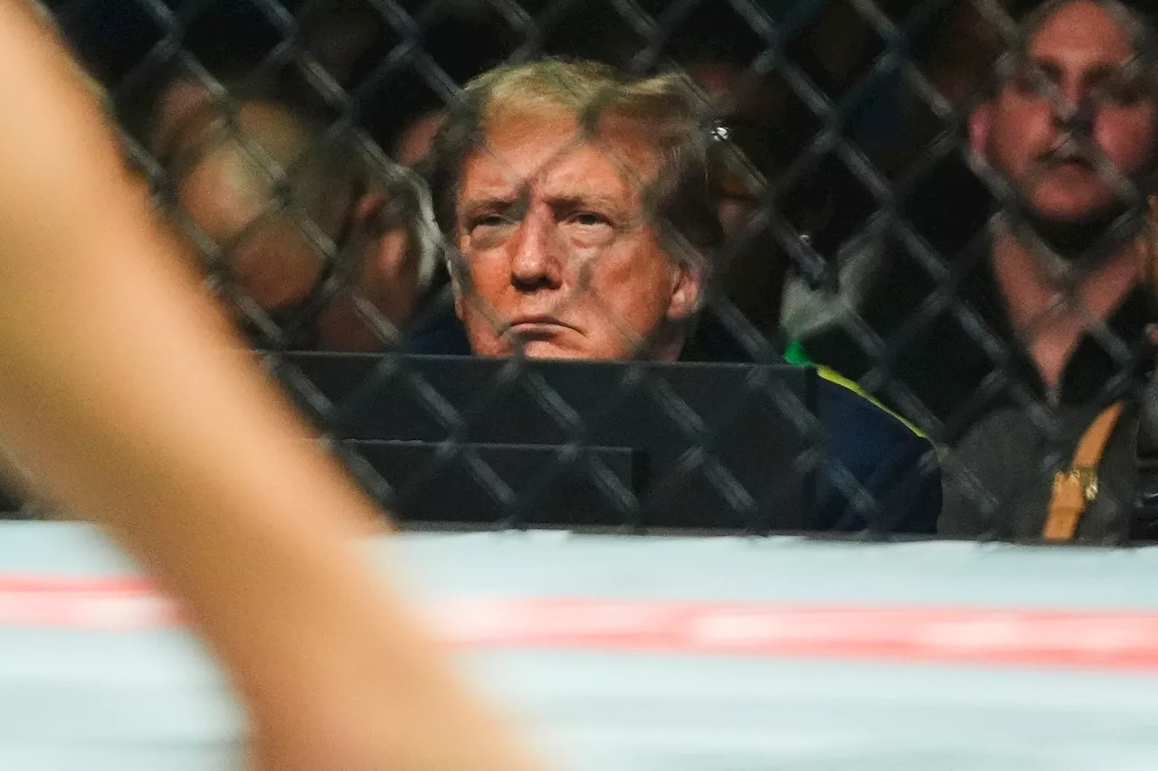 WATCH: Jets star (and long-shot VP candidate) Aaron Rodgers snubs Trump at UFC 302