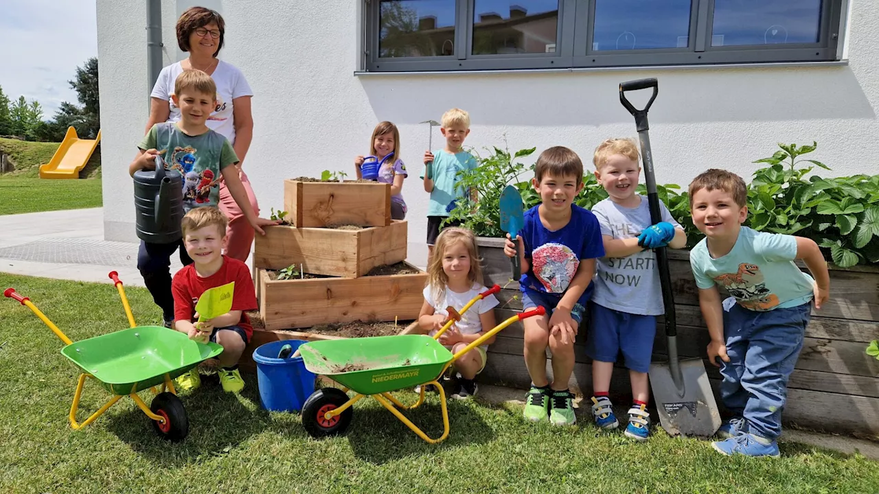 Nachwuchsgärtner im Kindergarten Haidershofen