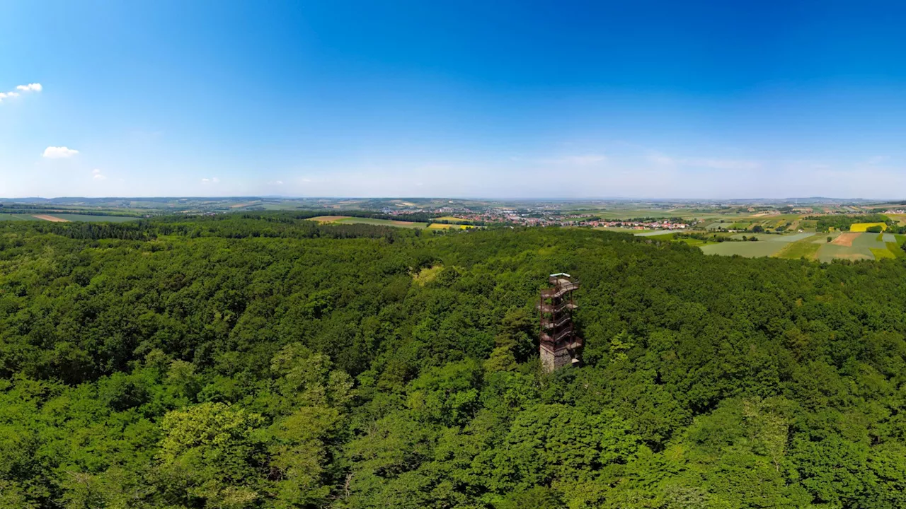 Was der Wald im Revier Raschala aushalten muss