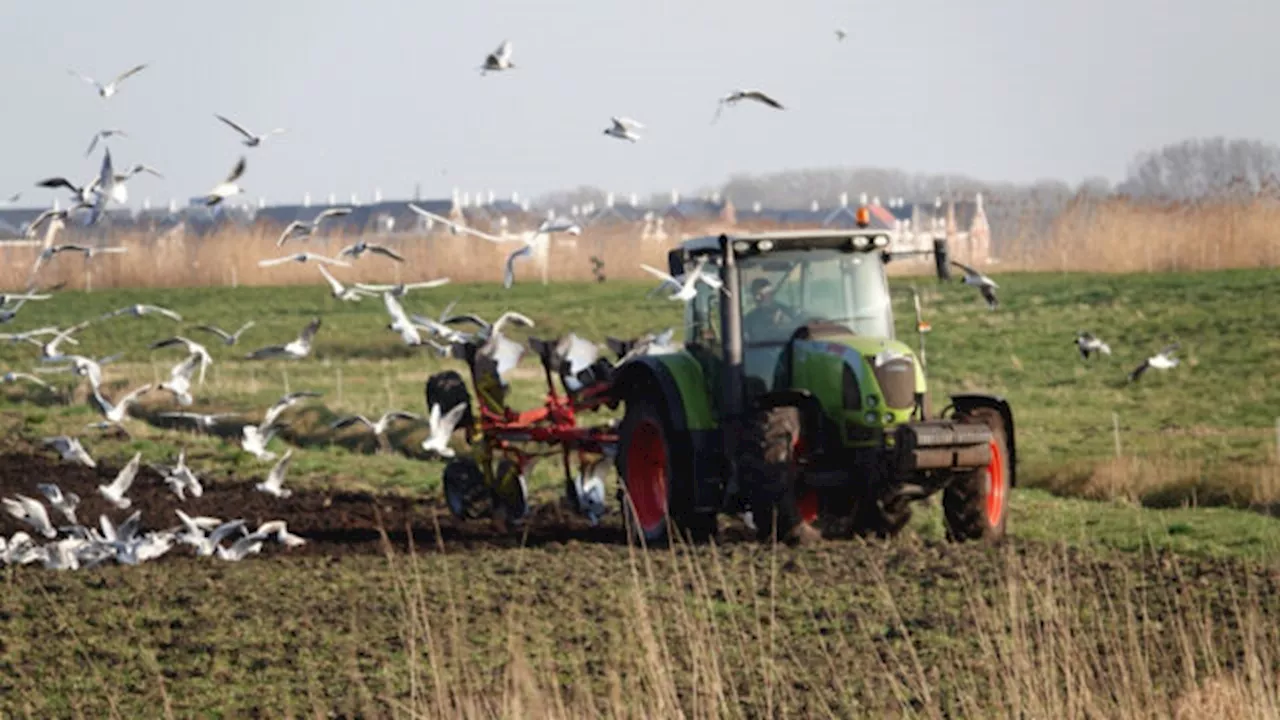 Boeren zitten klem: 'Zoveel willen verandering maar het wordt onmogelijk gemaakt'