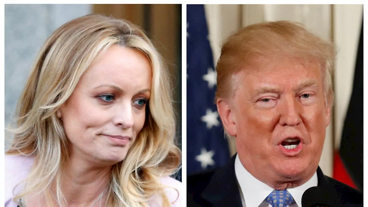 'Es ist noch nicht vorbei': Daniels: Trump sollte Boxsack im Frauenhaus sein