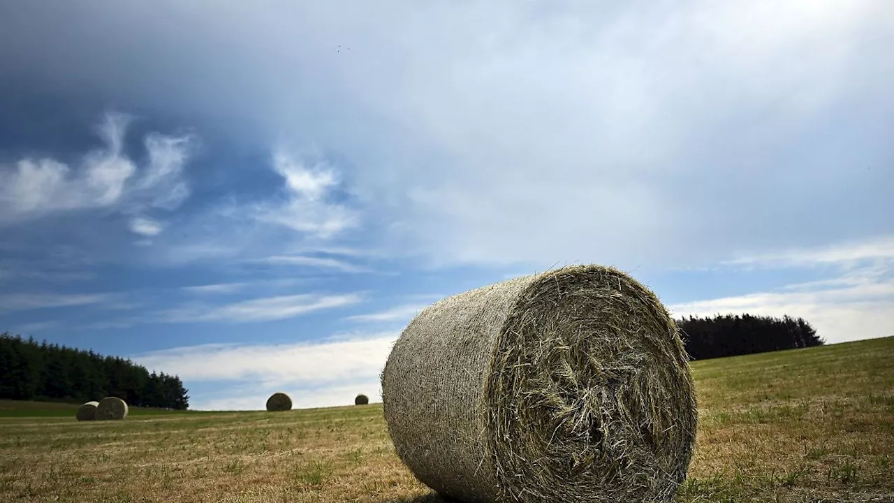 Nordrhein-Westfalen: Wolken und etwas Regen: NRW bleibt von Unwetter verschont