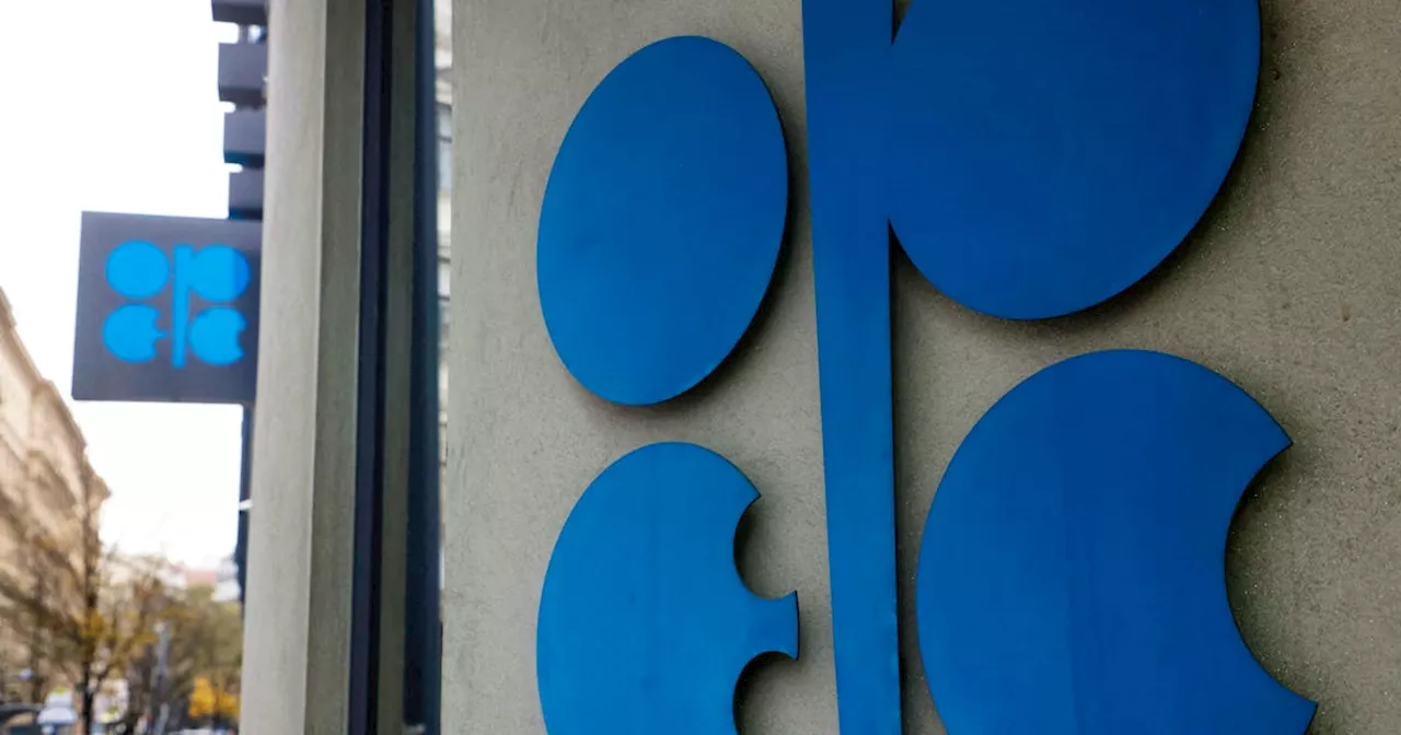 OPEC+ seen prolonging cuts in 2024 and into 2025, two sources say