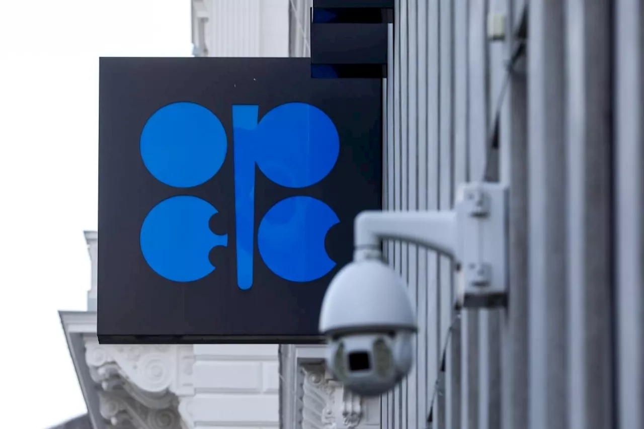 OPEC+ anxious to maintain unity