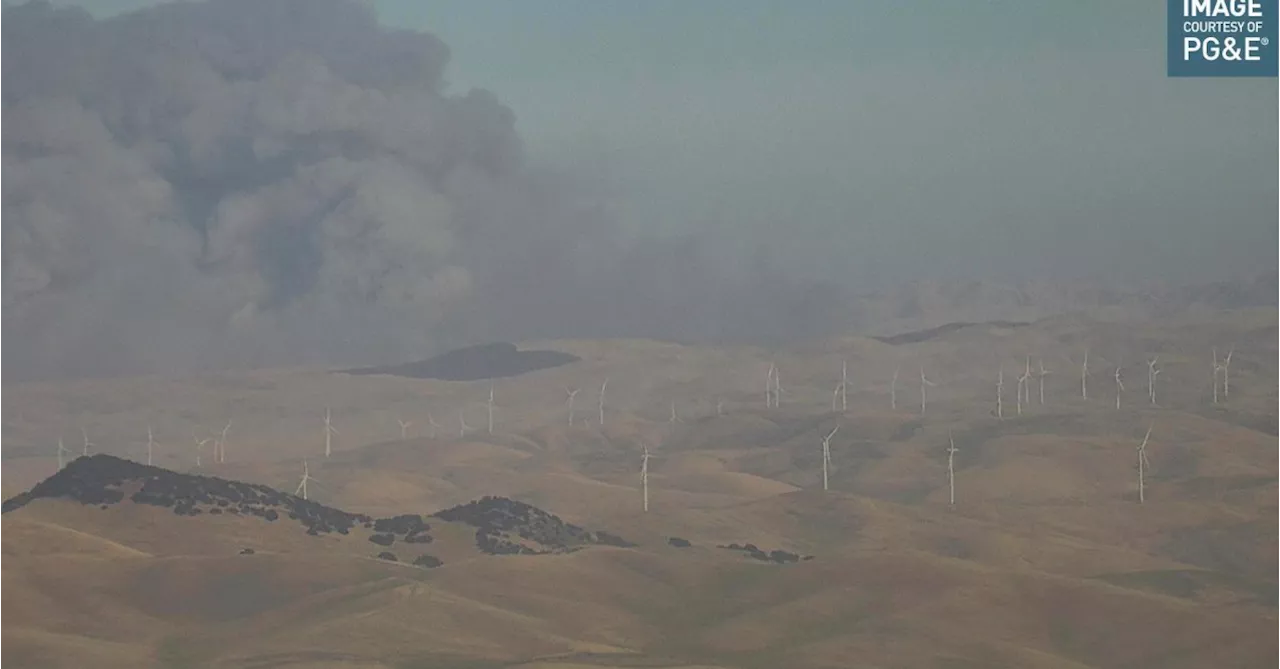 California Firefighters Battle Wind-Driven Wildfire East of San Francisco