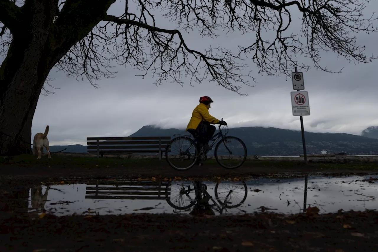 Environment Canada issues rainfall warning for Metro Vancouver, Fraser Valley