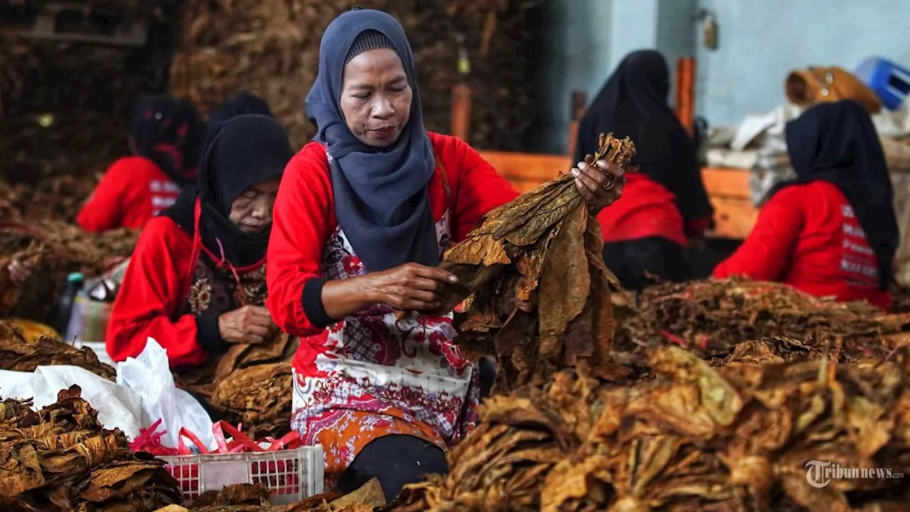 Industri Periklanan Minta Dilibatkan Dalam Perumusan Aturan Tembakau di RPP Kesehatan