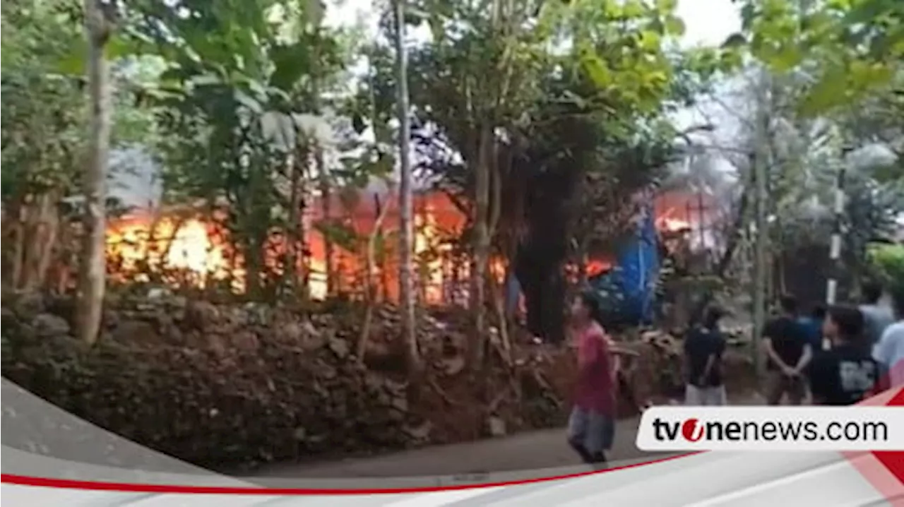 Kandang Peternakan Ayam di Bantul Terbakar, Ribuan Ayam Mati Terpanggang, Kerugian Capai Rp 350 Juta