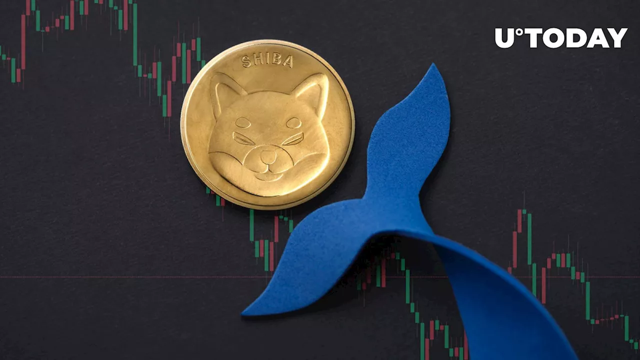 Shiba Inu (SHIB) Loses 84% in Key Metric as Whales Disappear