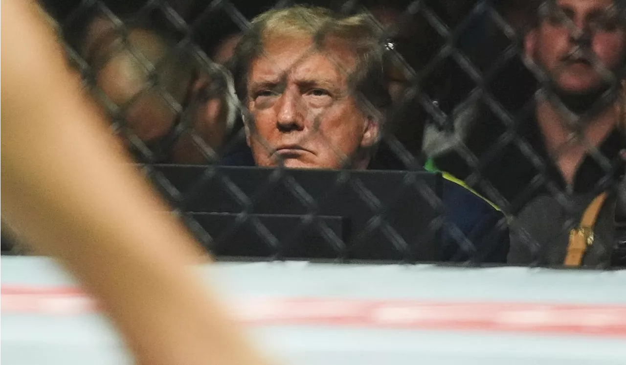 Aaron Rodgers conspicuously passes on shaking Donald Trump's hand at UFC event