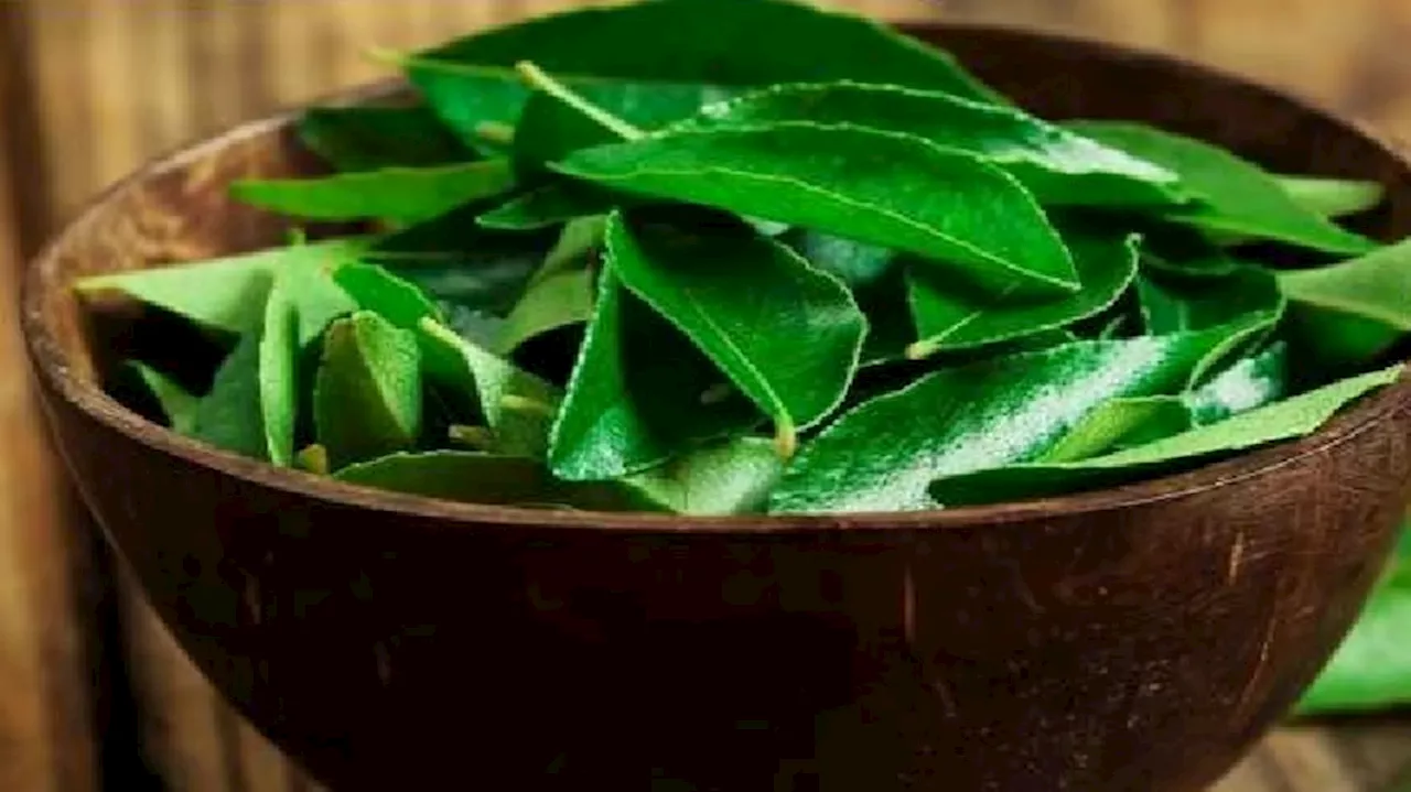 Curry Leaves: ತೂಕ ನಷ್ಟ & ಕೂದಲು ಉದುರುವ ಸಮಸ್ಯೆಗೆ ಕರಿಬೇವು ತಿನ್ನಿ!