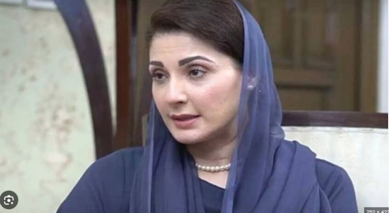 Punjab CM Maryam Nawaz forms committee on ministries restructuring