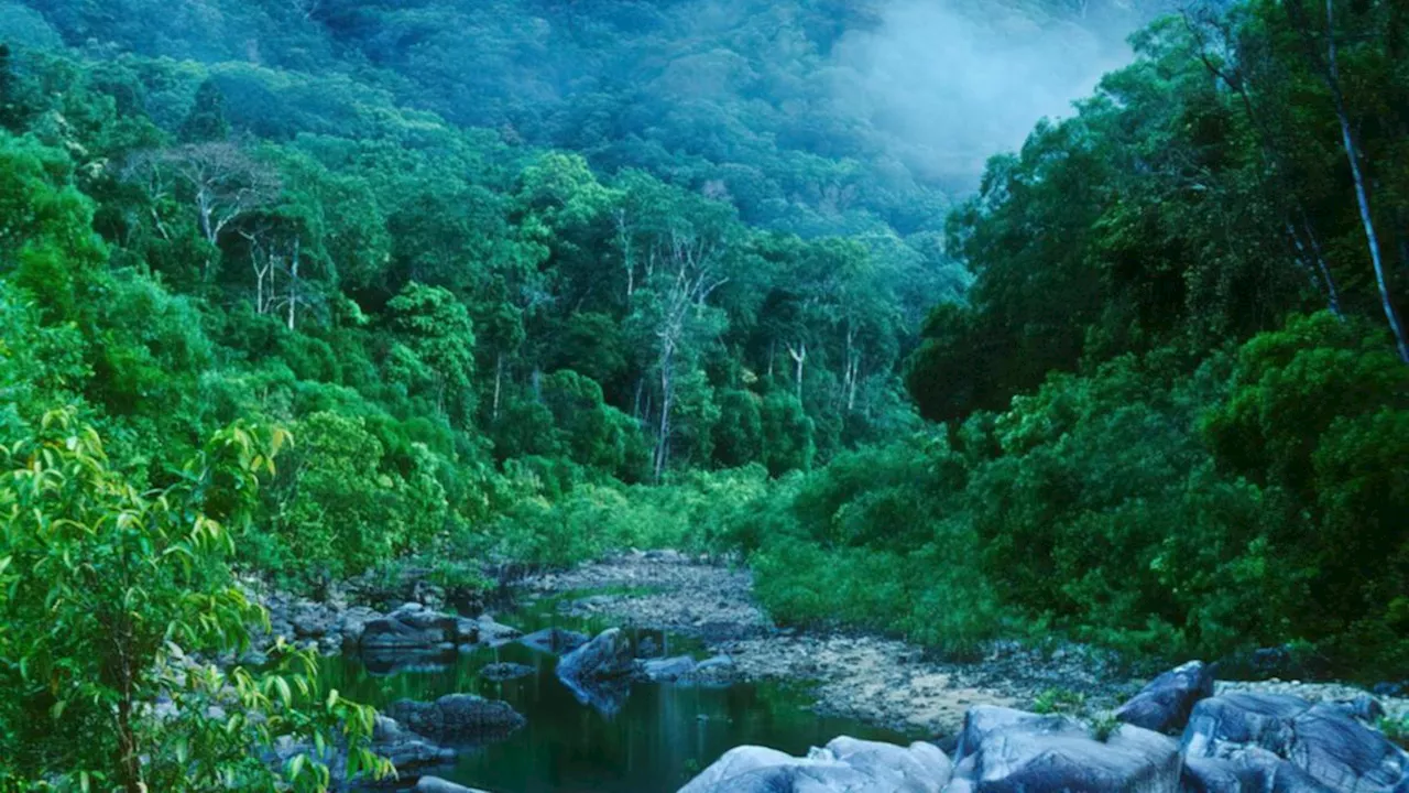 The ‘rich, complex’ Aussie destination in the running to become a World Heritage site