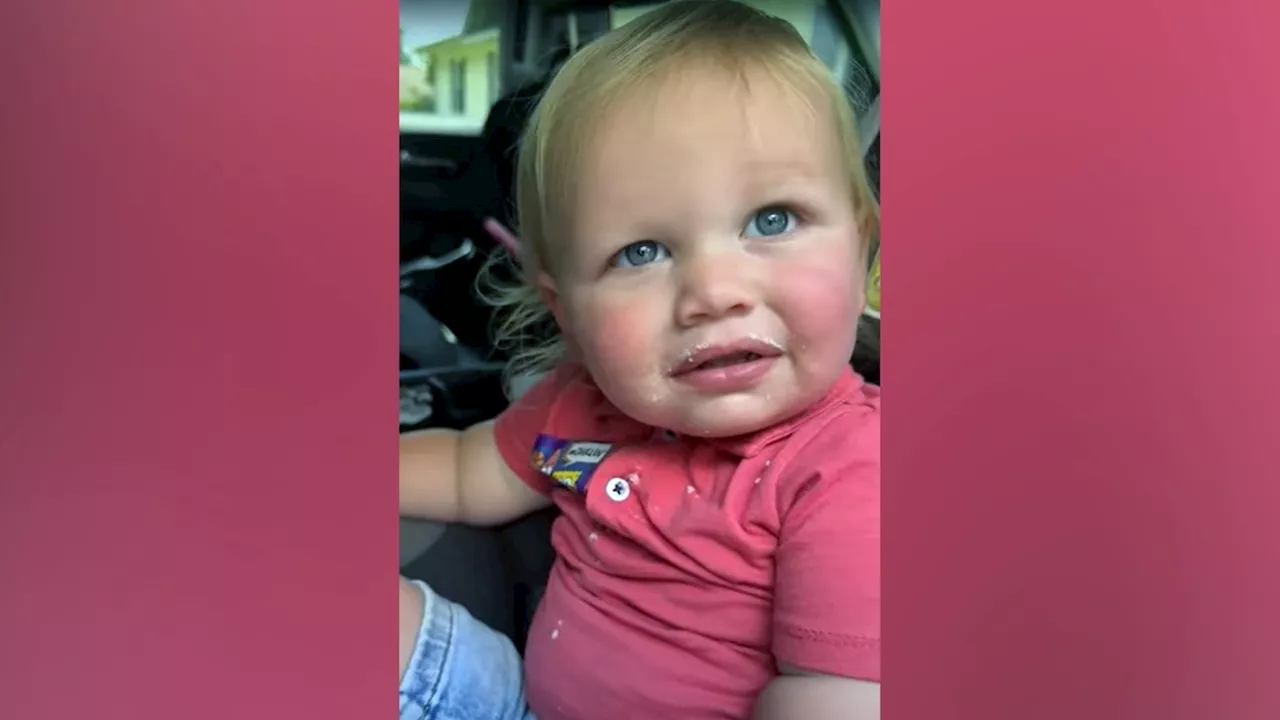 Powdered sugar-dusted toddler denies eating mom’s doughnuts