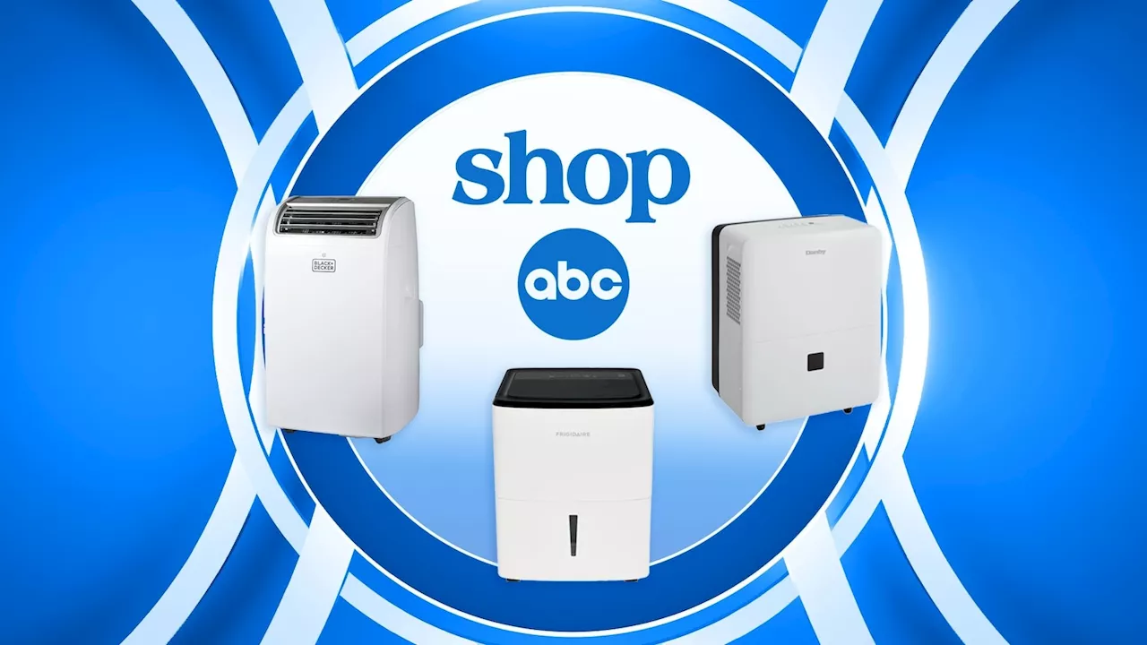 Shop energy efficient dehumidifiers for rooms throughout the house