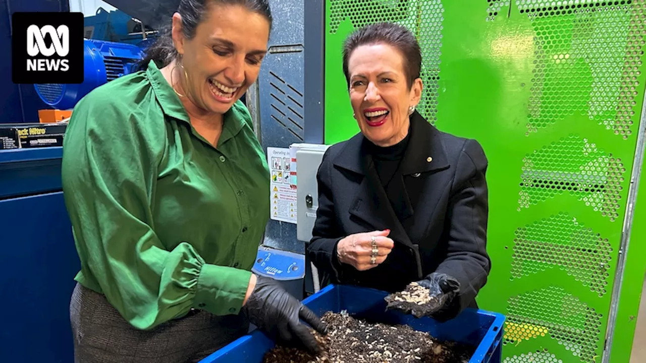 Maggots to munch on Sydney residents' food scraps as councils look for solutions to organic waste
