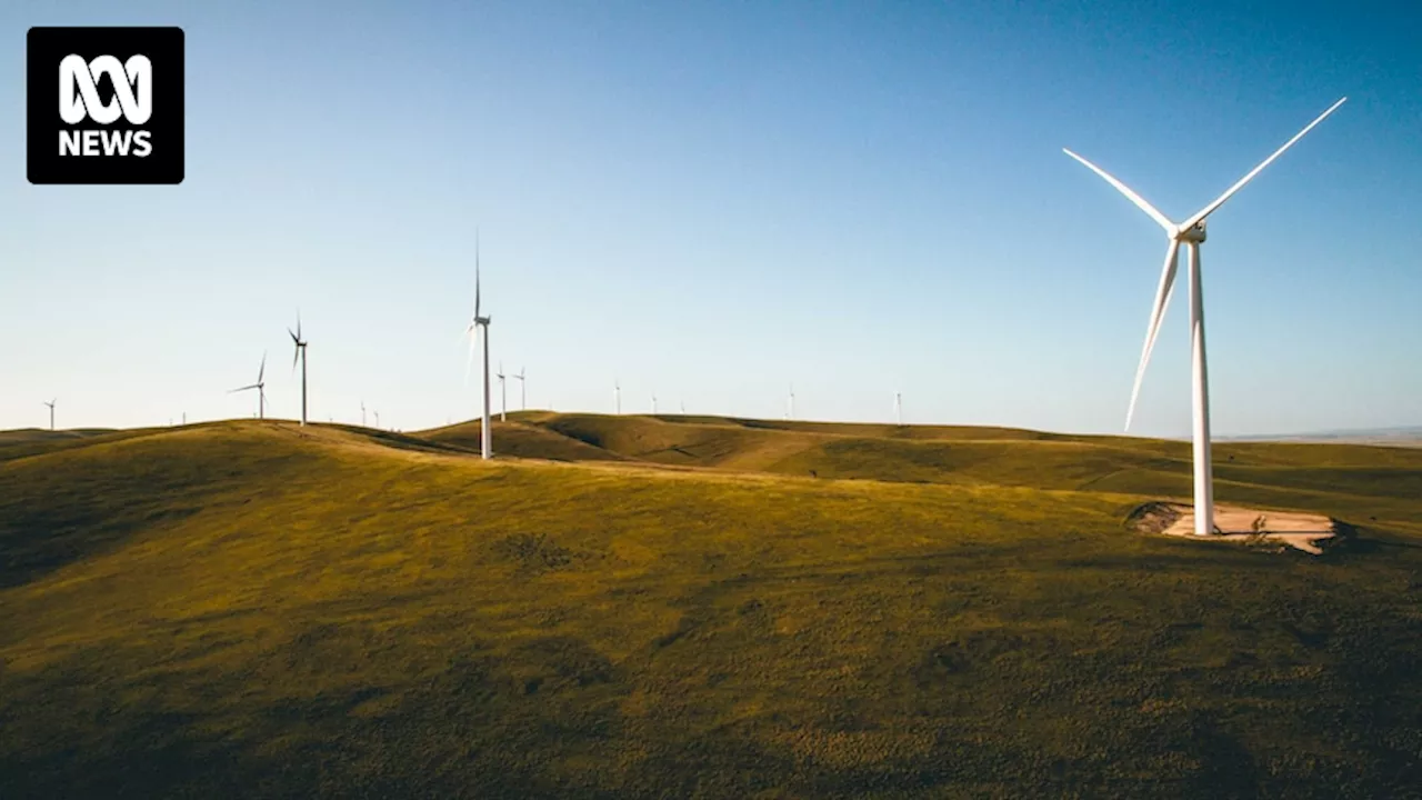 Renewable projects 'coming in large and fast' but local governments worry about legacy, food security