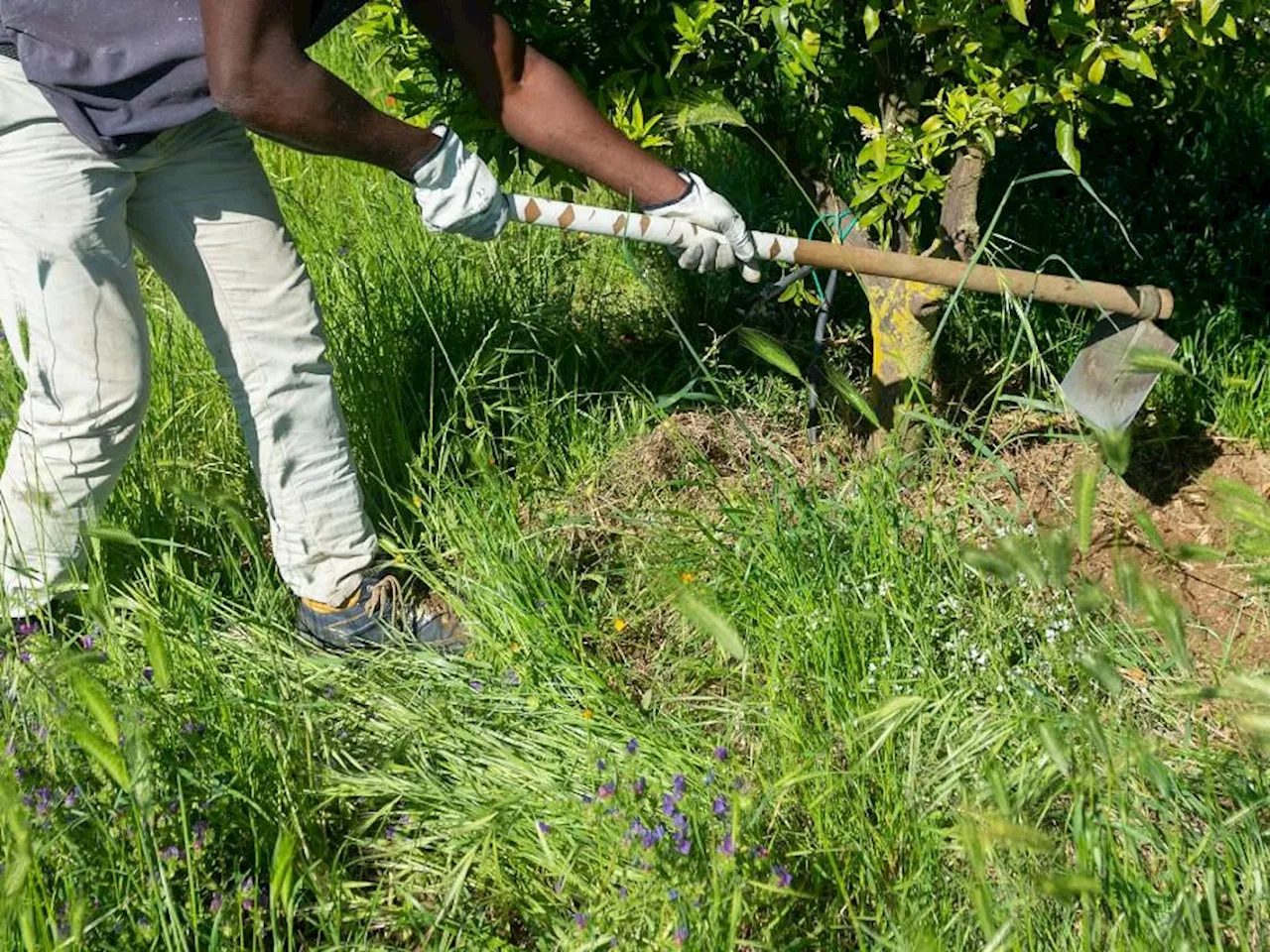 I manager vanno a zappare, ecco il corso contro le diversità in azienda