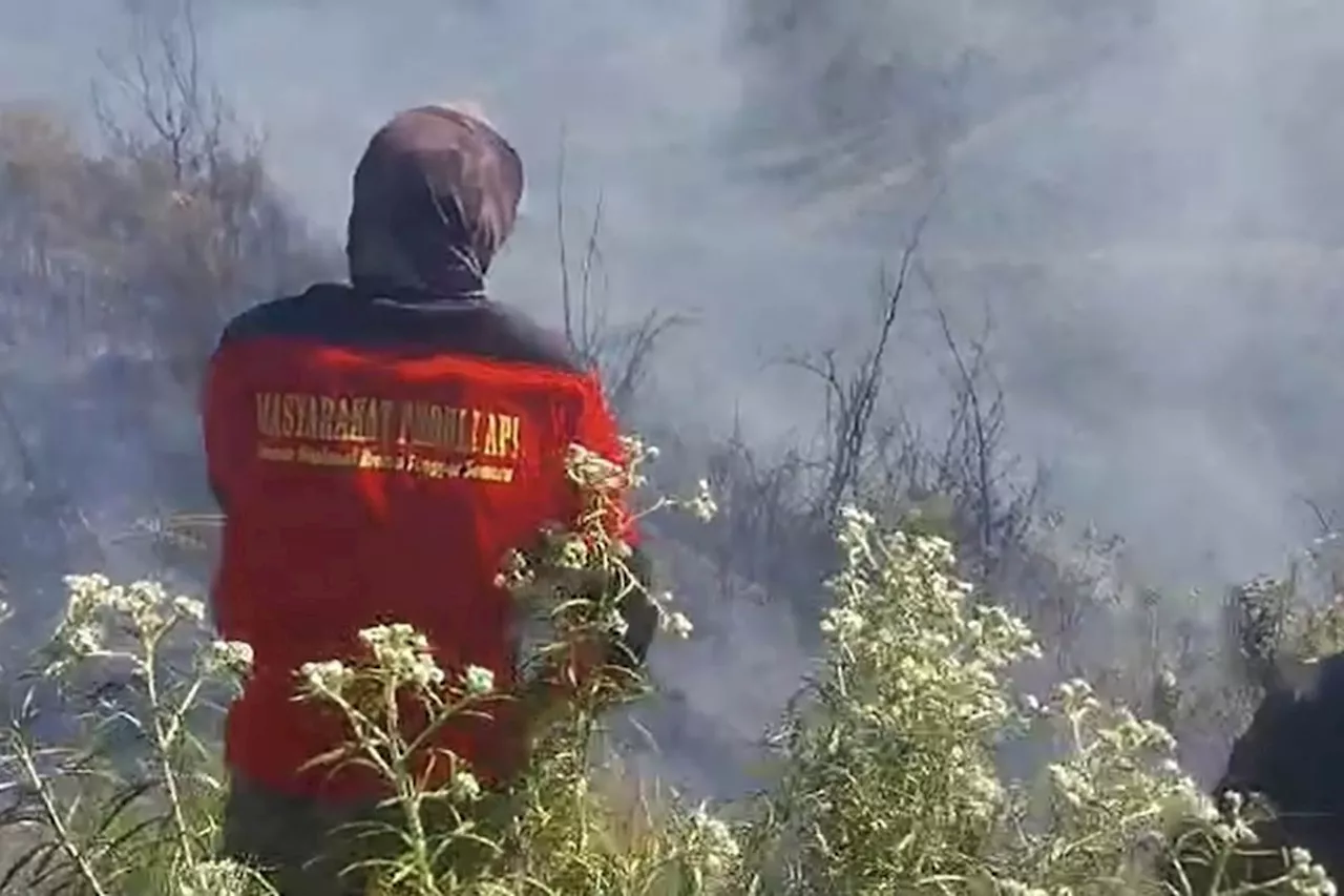 Karhutla di Taman Nasional Bromo Tengger Semeru berhasil dipadamkan