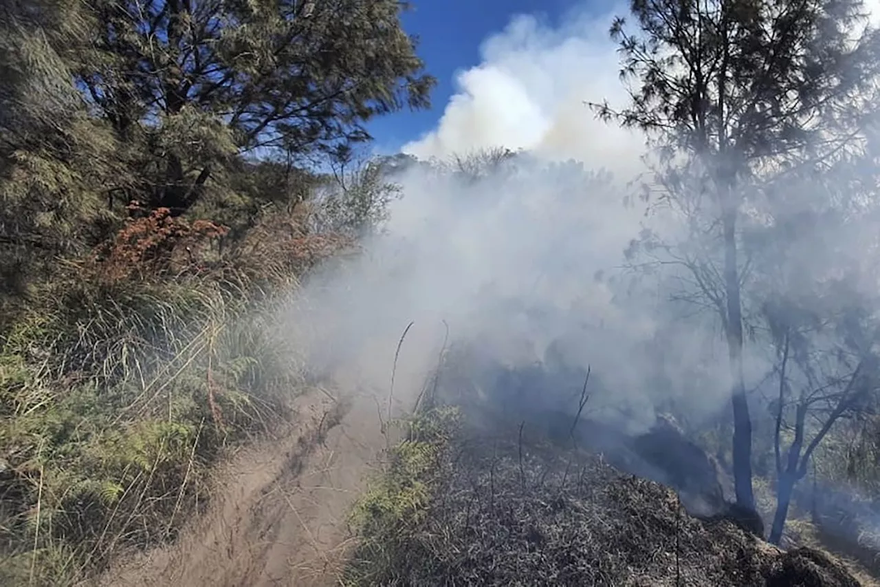 Kebakaran hutan dan lahan terjadi di kawasan Savana Widodaren Bromo