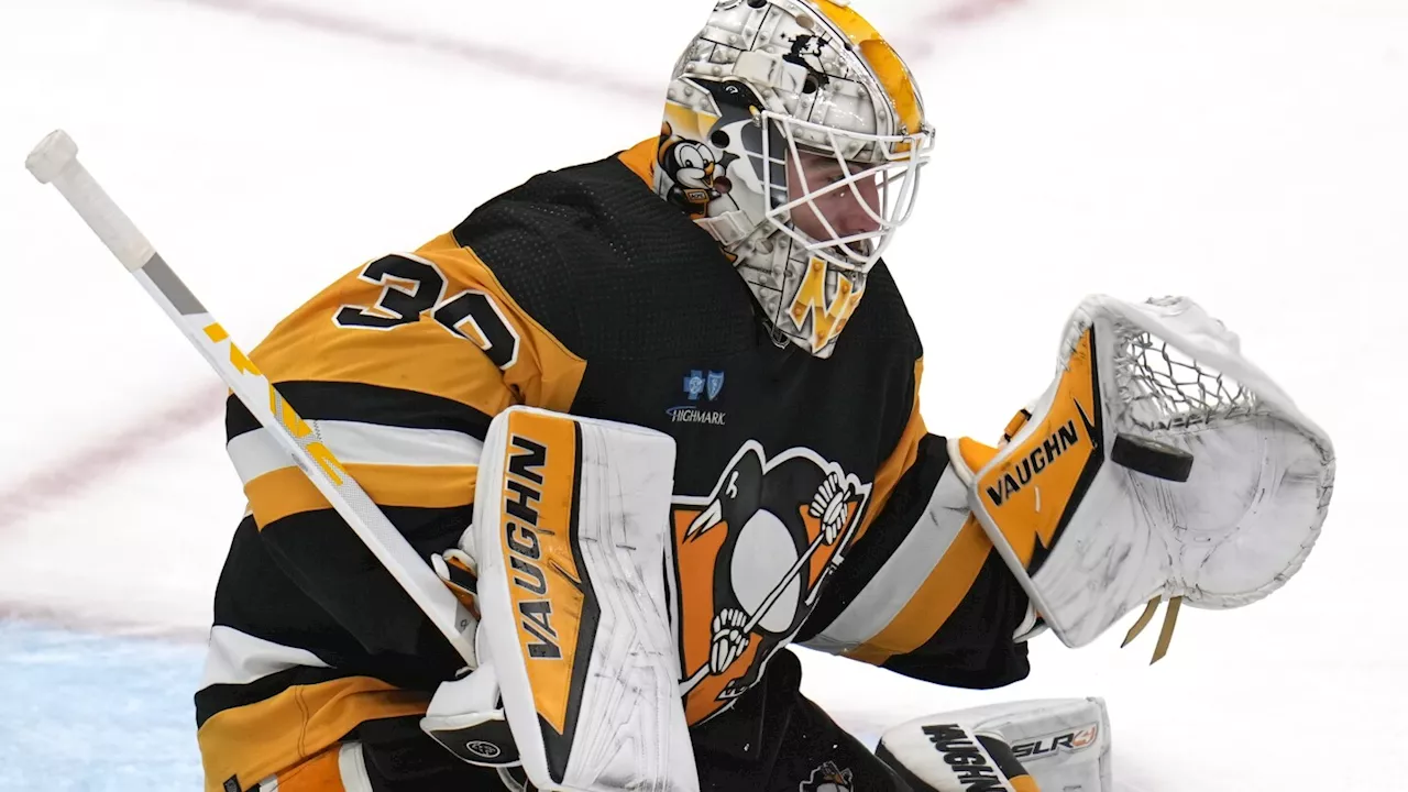 Penguins re-sign goaltender Alex Nedeljkovic to a 2-year contract