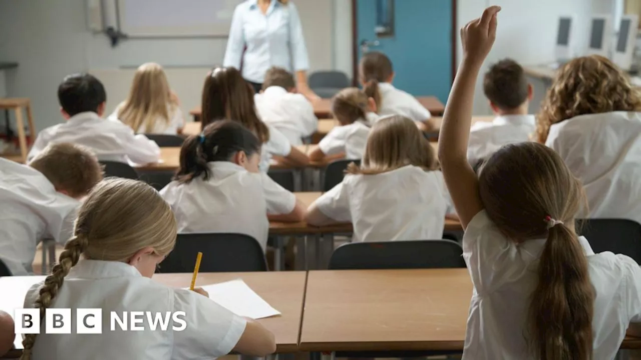 Primary school transgender guidance scrapped by CCEA