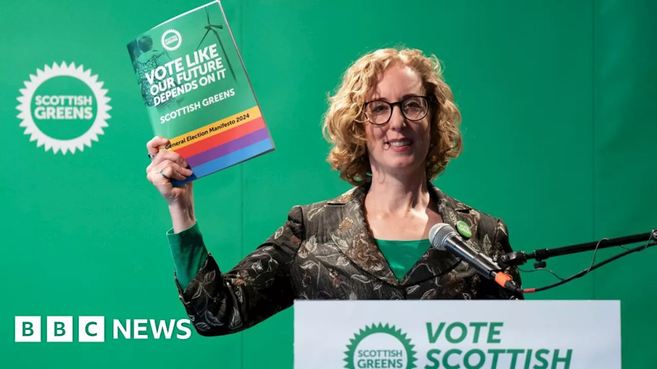 Scottish Greens manifesto: Key policies analysed