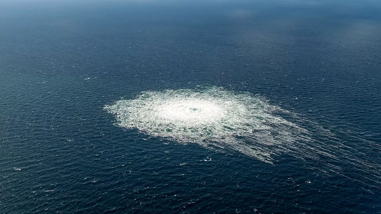 Mehr Bakterien: So wirkt sich der Anschlag auf Nord-Stream auf die Ostsee aus