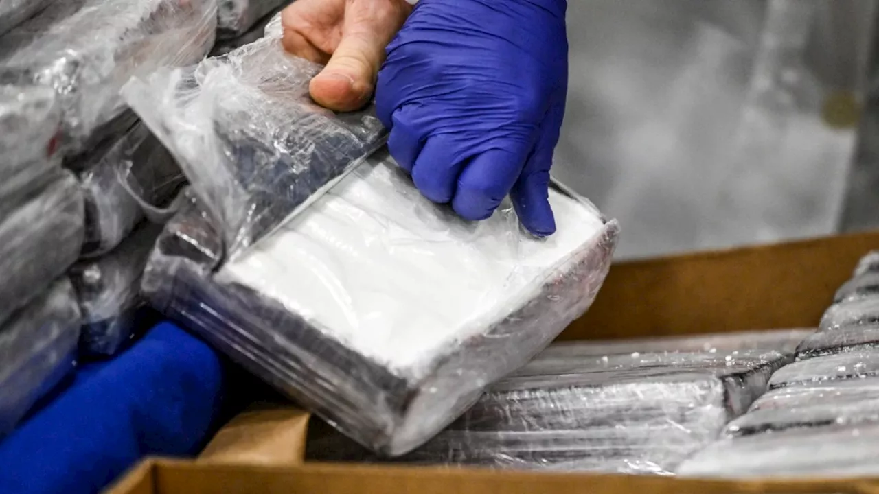 Incautan en España 100 kilos de cocaína enviada de Ecuador por una banda de colombianos