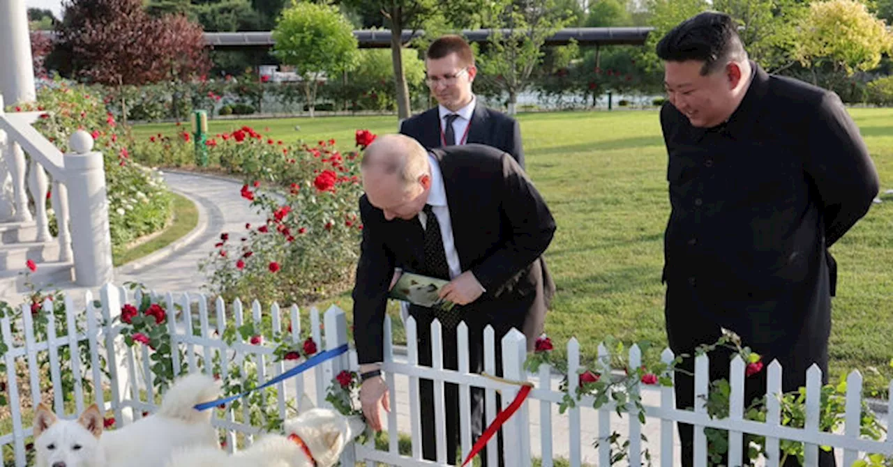 Vladimir Putin and Kim Jong-un Trade Dogs, Limousine, and More as Gifts