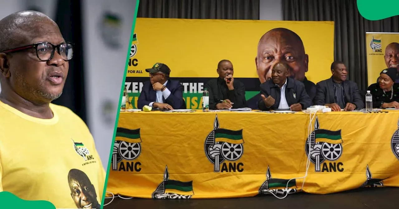 Fikile Mbalula Clarifies Government of National Unity’s Statement of Intent Clause