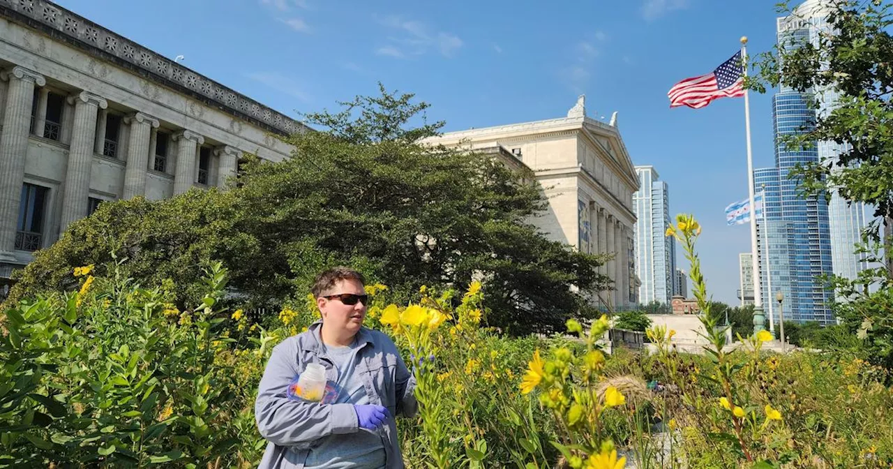 Celebrating queer botany during Pride Month in Chicago