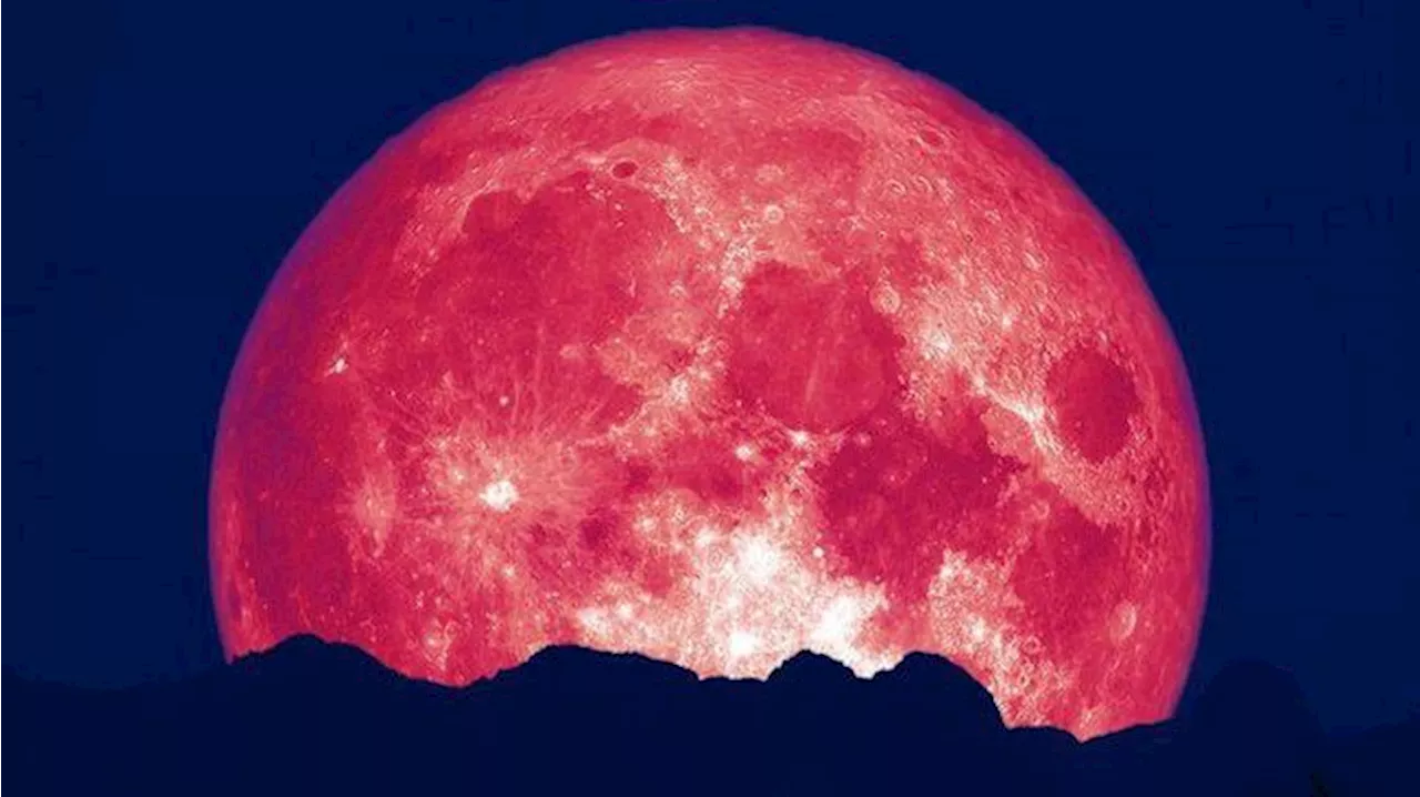 Fenomena Langit Strawberry Moon Juni, Apa Itu Bulan Purnama Stroberi?