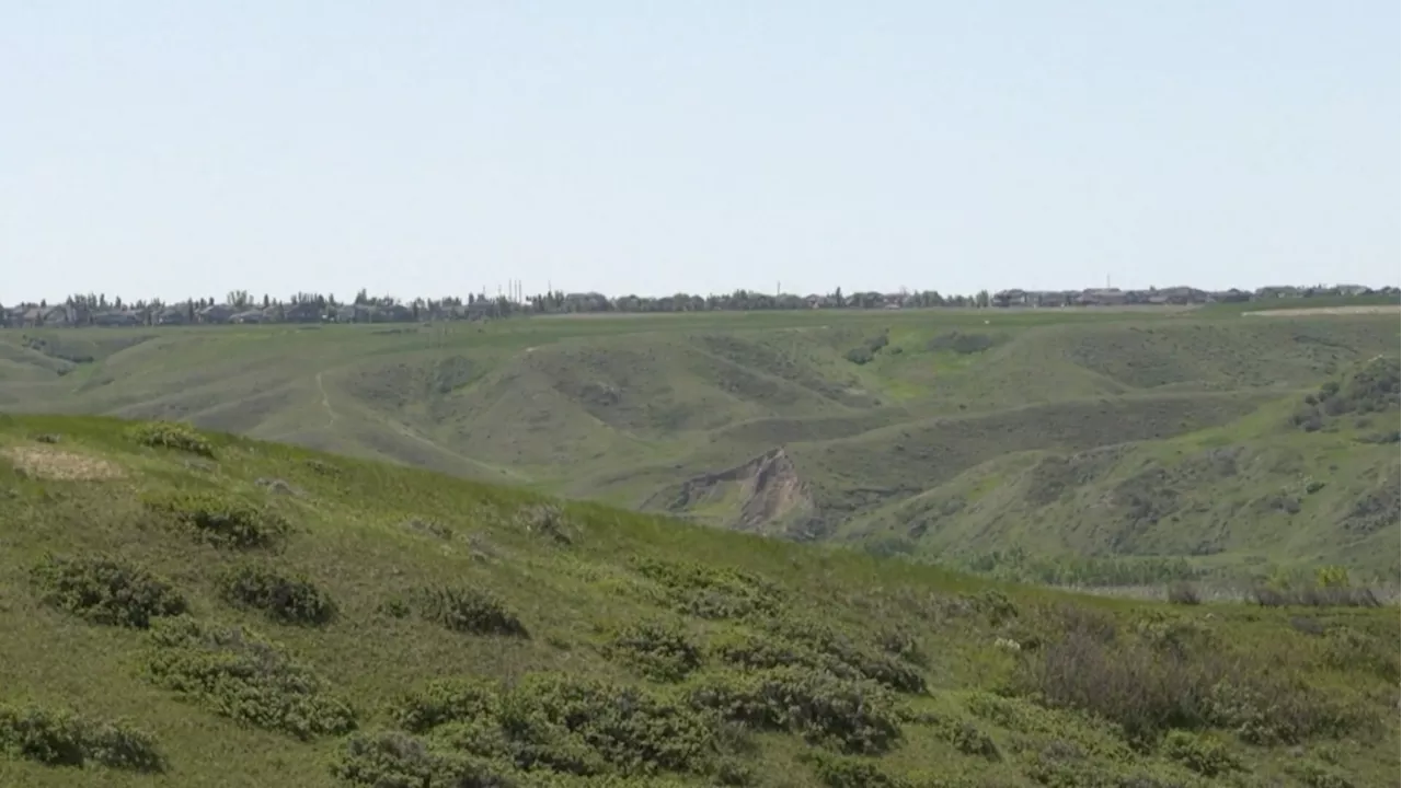 First day of summer marks change in weather for Lethbridge