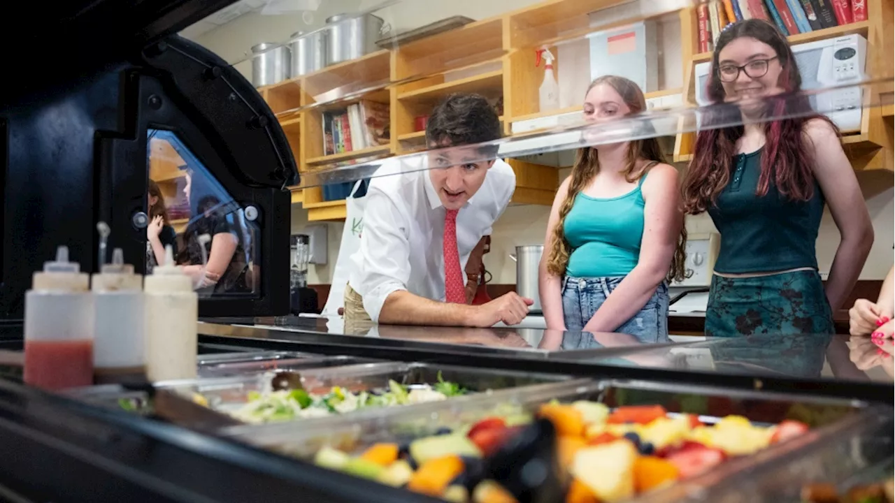 Liberals plan talks to launch school food program before end of next school year