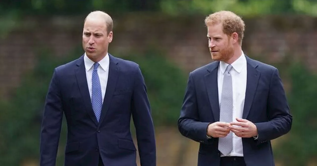 Prince Harry and William 'could unite' as King Charles 'puts pressure on'