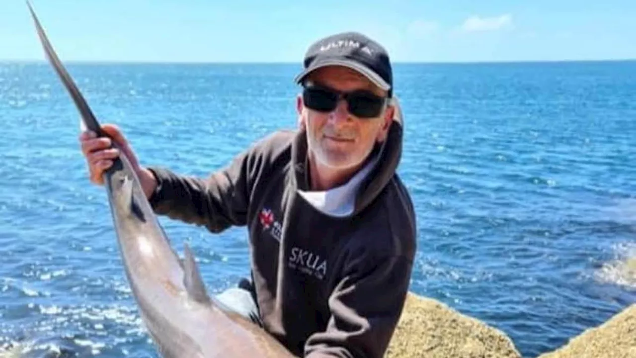 Terrifying moment huge shark is spotted swimming into British harbour