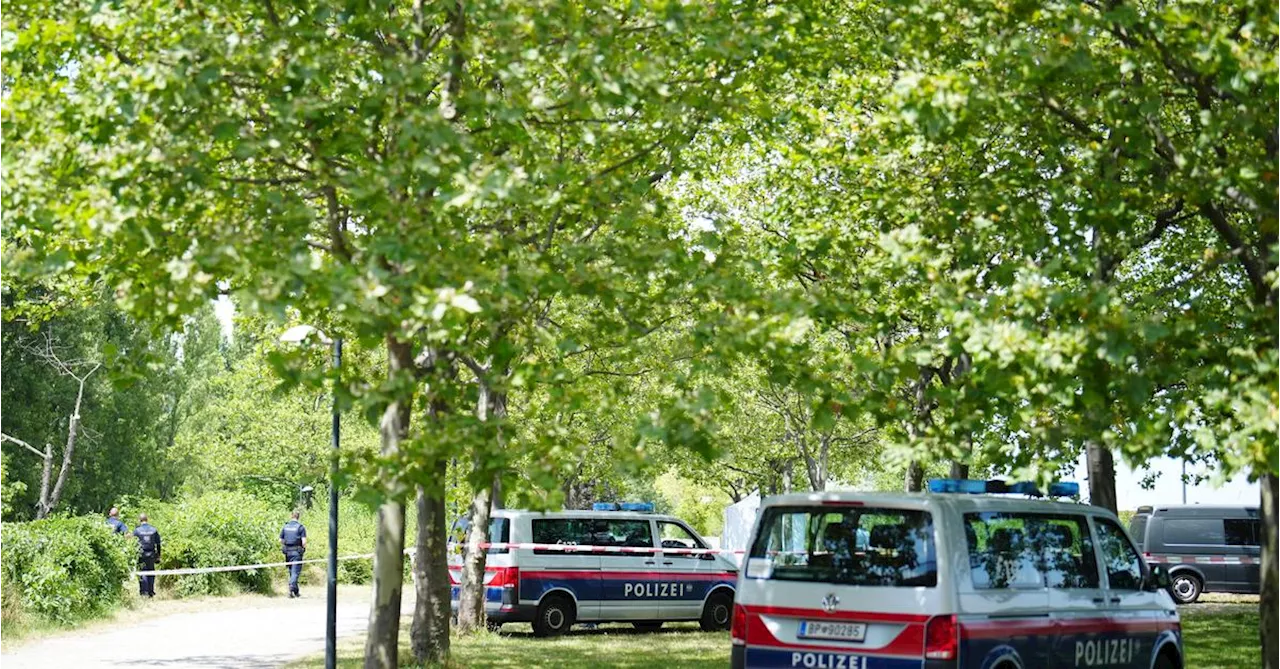 Obdachlose in Wien getötet: 17-Jähriger war zurechnungsfähig