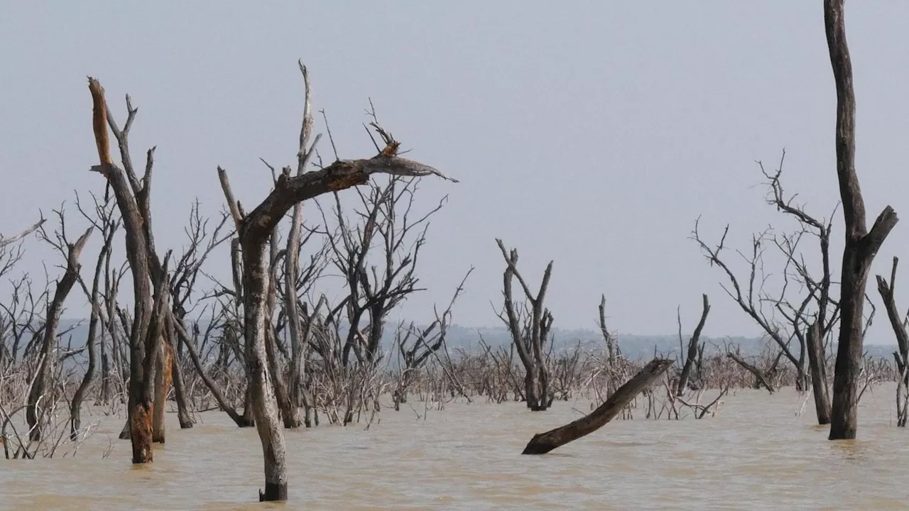 Mehr als drei Viertel der Menschen weltweit wollen mehr politisches Handeln gegen den Klimawandel