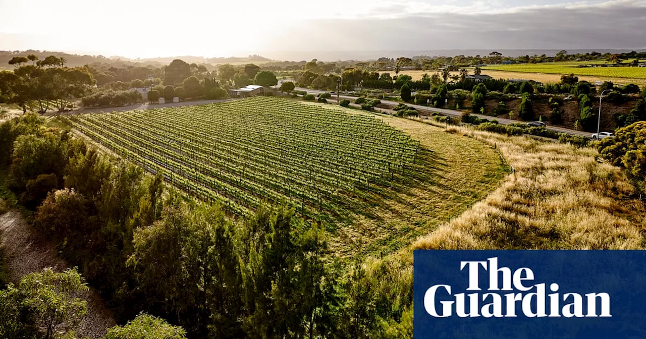 South Australian red wine selling for $22 wins top nod at prestigious international award