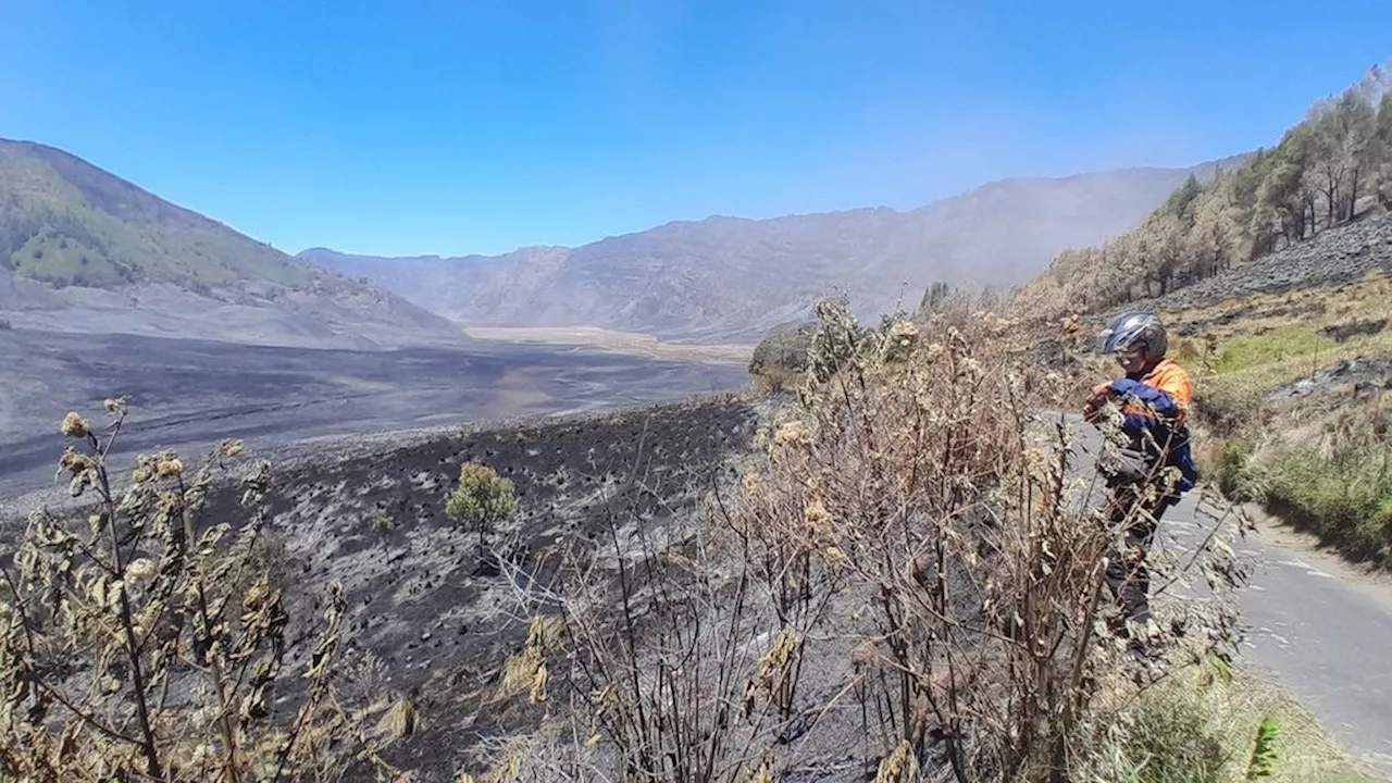 Kebakaran Kembali Melanda Taman Nasional Bromo Tengger Semeru