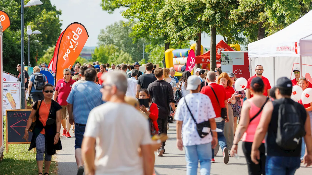 Allergiker aufgepasst! Diese Gräser sorgen für Probleme